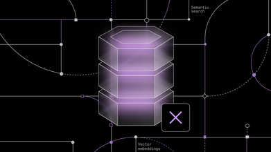 Why Your Vector Database Should Still Not be a Vector Database