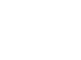 SFBT Fast 100